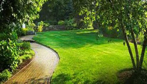 Landscaping
