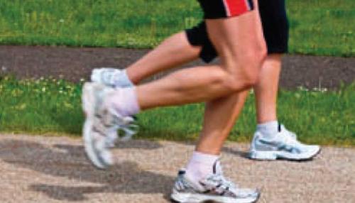 Jogging /Walking Trails